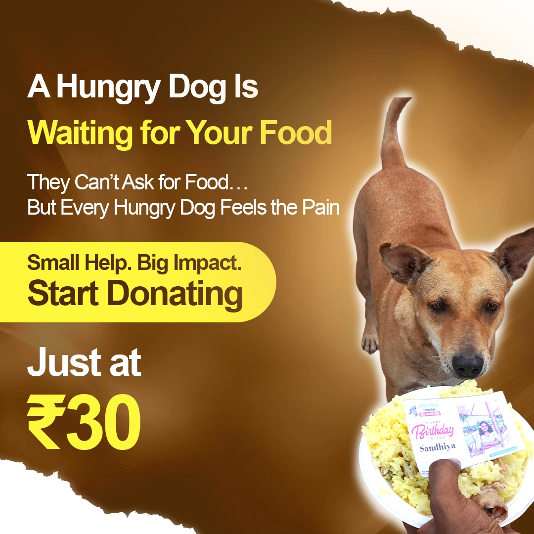 Provide Dog Food