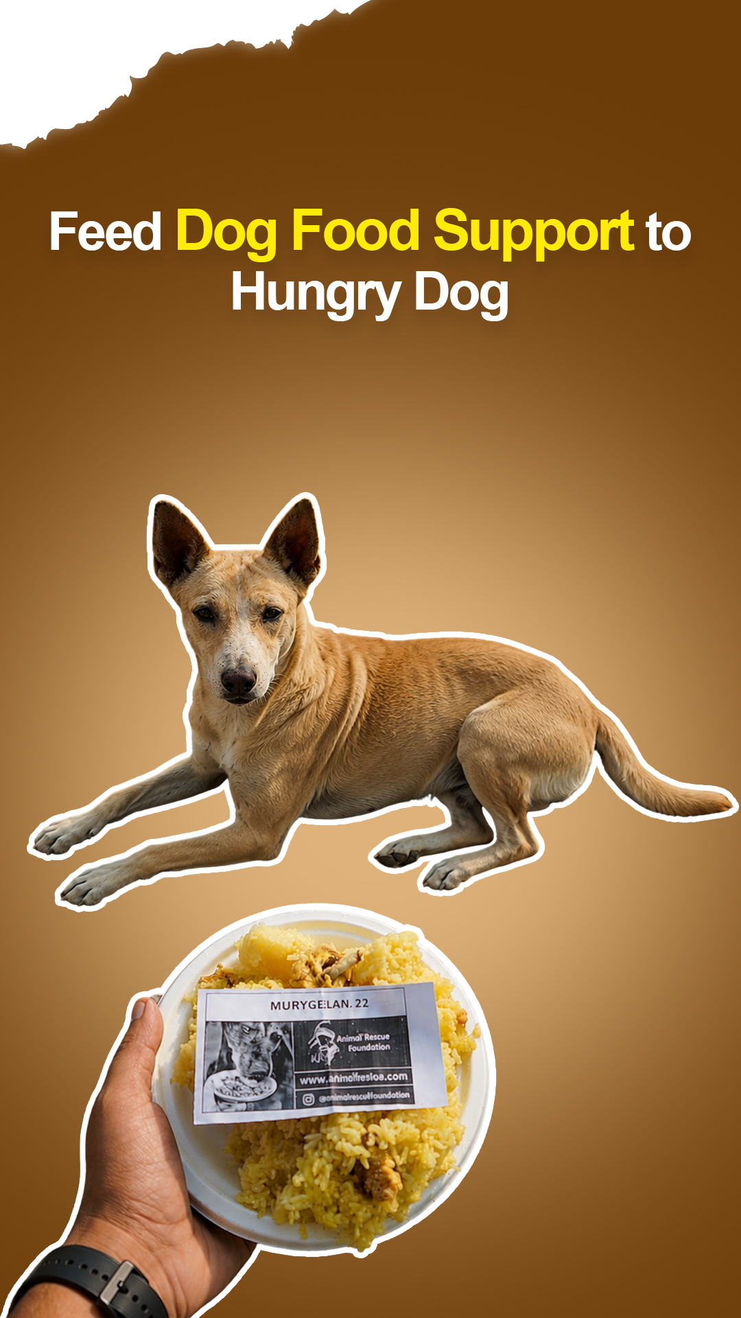 Provide Dog Food